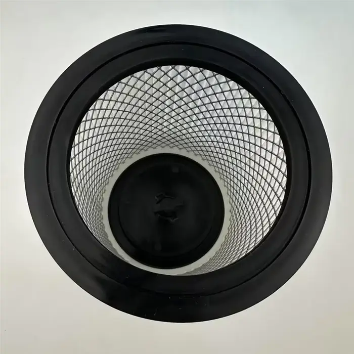 Filtre HEPA pour aspirateur à cartouche 91096424