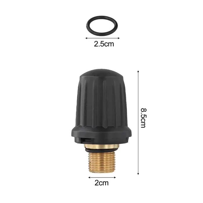 Bouchon de réservoir de nettoyeur à vapeur