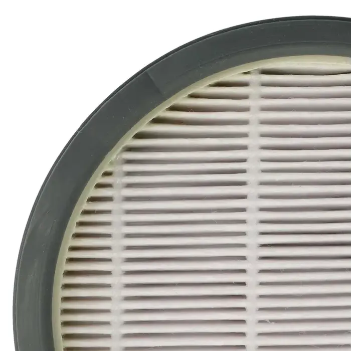 Filtre post-poste pour aspirateur Swift Power Cyclonic RO2957 RO2957EA RO2981