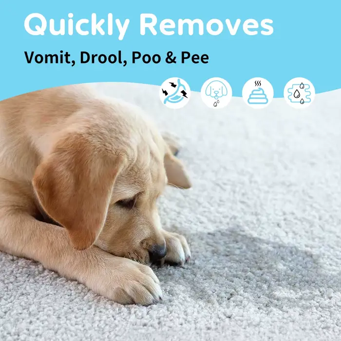 Nettoyant enzymatique pour tapis d'animaux
