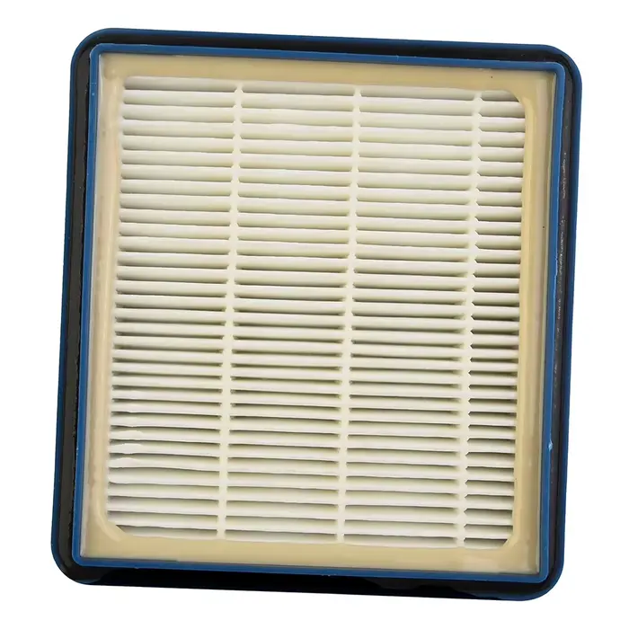 Filtre accessible adapté pour Hoover Telios Plus TE70-TE12