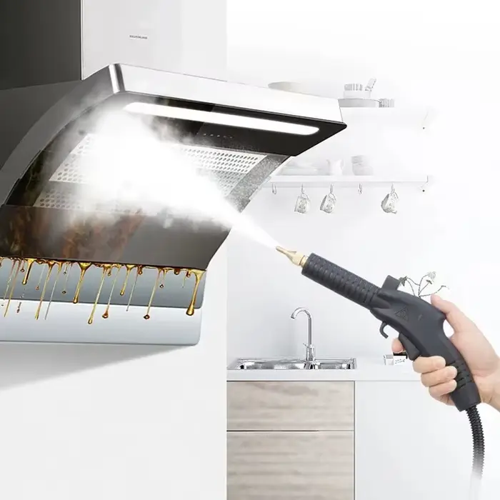 Nettoyeur Vapeur Haute Pression pour la Maison