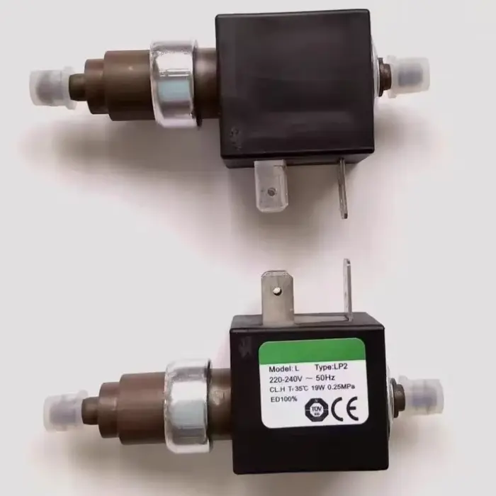 Pompe électromagnétique 220V 19W pour vadrouille à vapeur