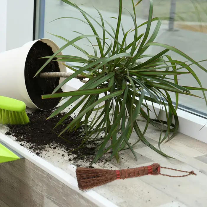 Brosse de jardinage pour bonsaï