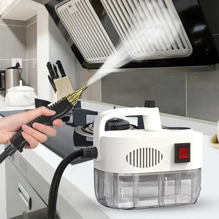 Nettoyeur à vapeur domestique à main