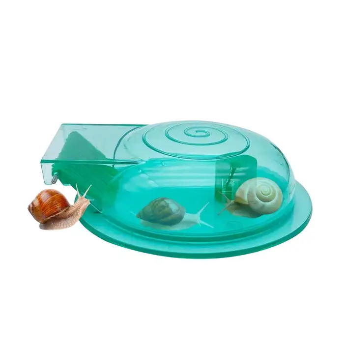 Attrape-escargot Transparent pour Aquarium