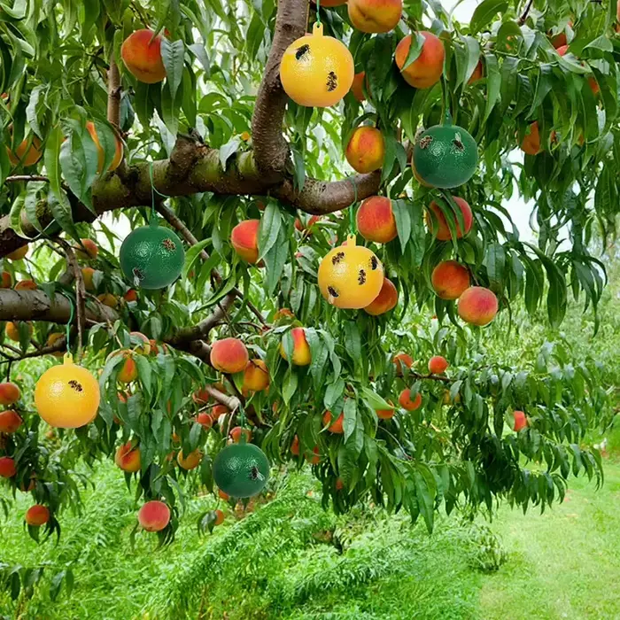 1-10 pièces piège à balles