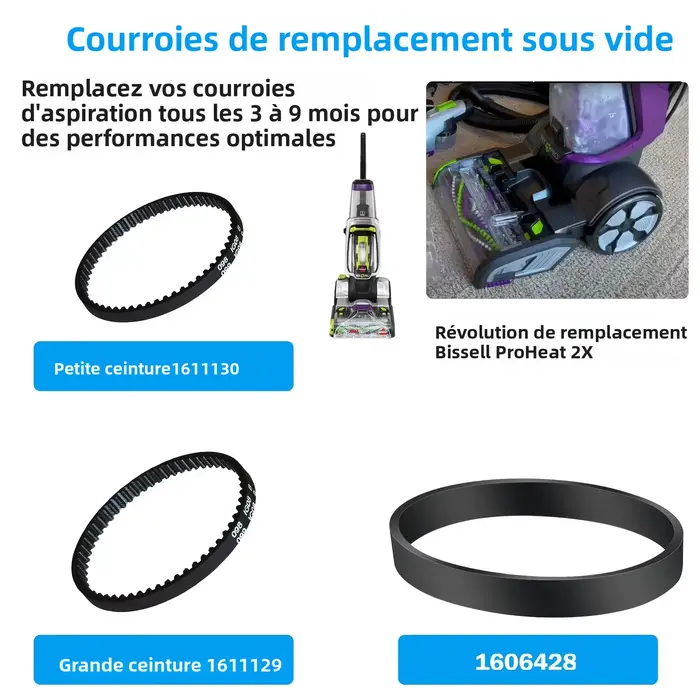 Courroies d'aspirateur de remplacement pour nettoyeur Bissell ProHeat 2X Revolution Pet Pro