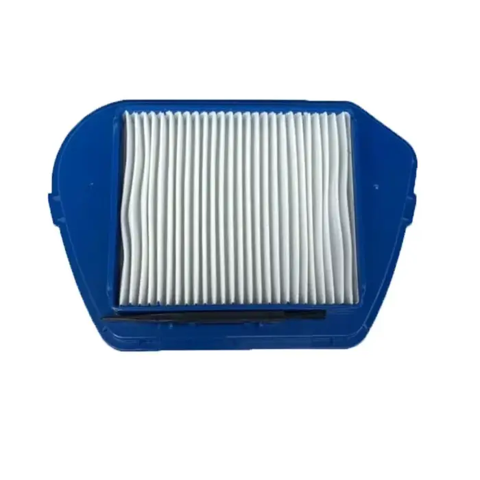 Hepa Dust Pound pour Rowenta RO53 Compacteo Ergo Cyclone-zr005501 Zyklon ZR00cape 1 Kit d'accessoires pour aspirateur Pièces RO535321