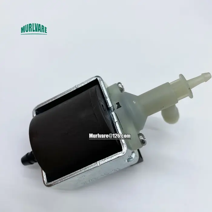 Pompe à eau solénoïde éventuelles M 20W 220V