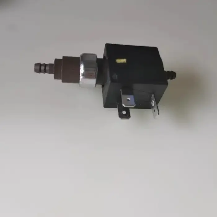 Nouvelle pompe électromagnétique pour nettoyeur vapeur Karcher, pompe auto-amorçante de remplacement SC2 SC3