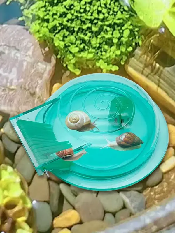 Attrape-escargot Transparent pour Aquarium