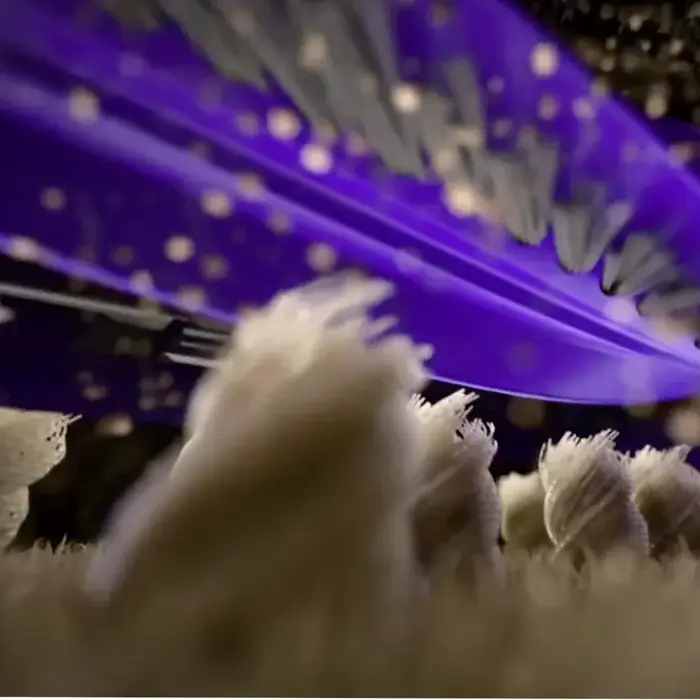 Brosse à rouleaux originale Narwal pour accessoires d'aspirateur robot Flow