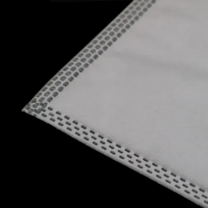 Sacs d'aspirateur pour Thomas Anti Allergy Aqua