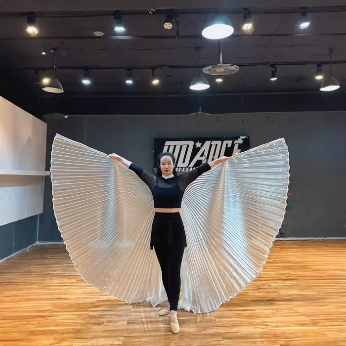 Ailes Isis de danse du ventre pour adultes