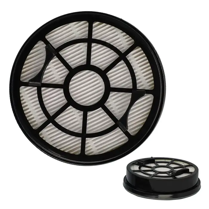 Filtre de remplacement pour aspirateur Swift Power Cyclonic RO2957 RO2957EA RO2981