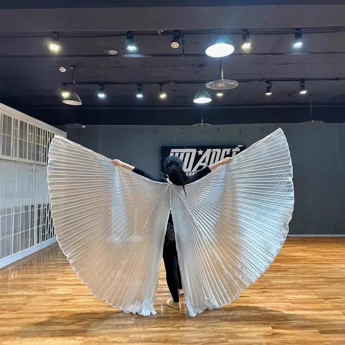 Ailes Isis de danse du ventre pour adultes