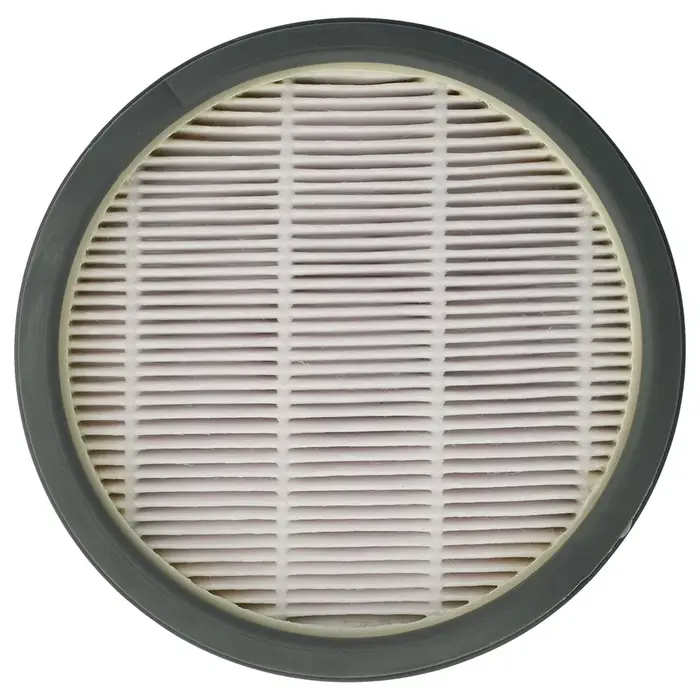 Filtre de remplacement pour aspirateur Swift Power Cyclonic RO2957 RO2957EA RO2981
