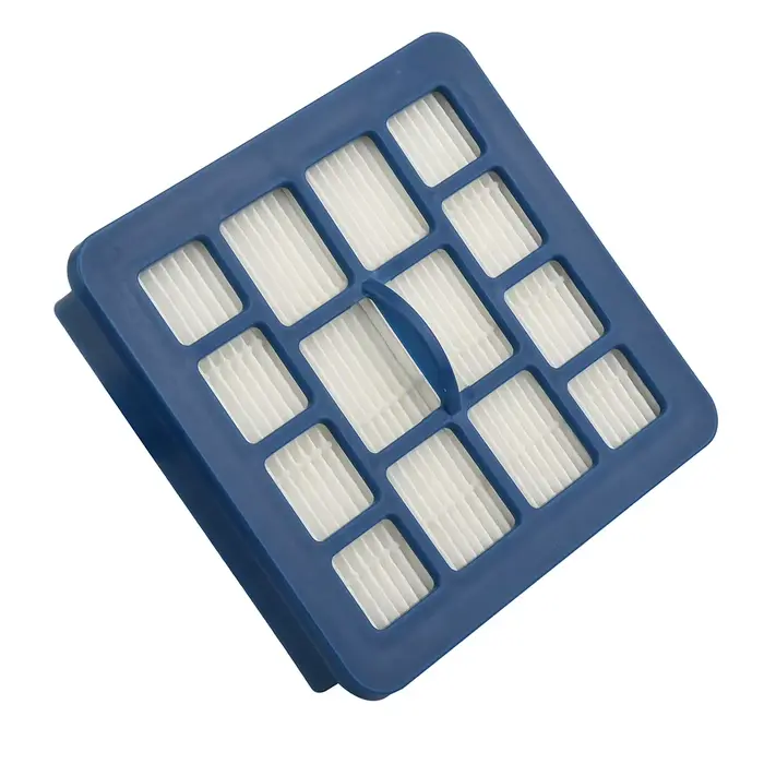 Filtre accessible adapté pour Hoover Telios Plus TE70-TE12