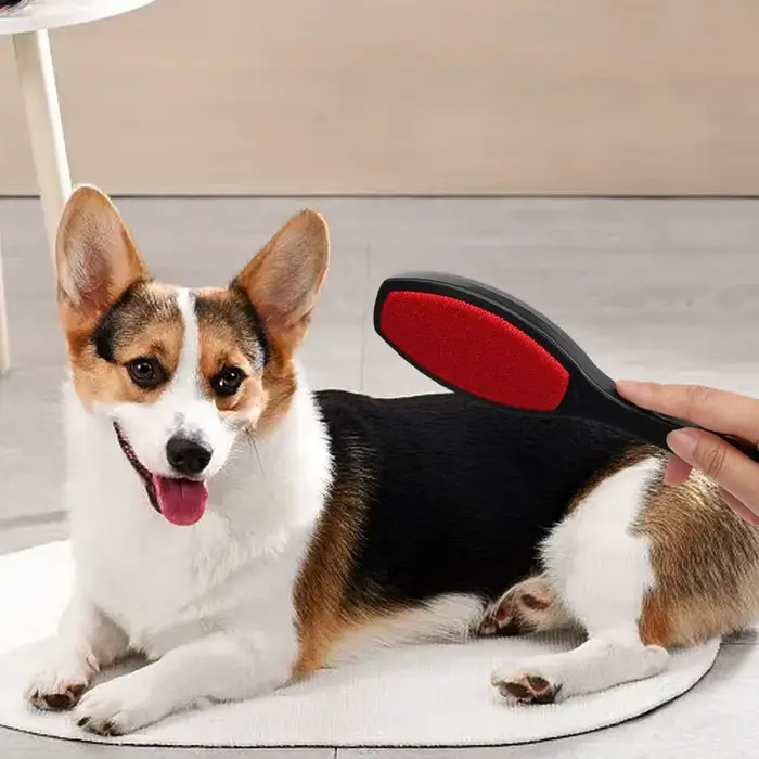 Brosse à peluches double face pour vêtements et poils d'animaux
