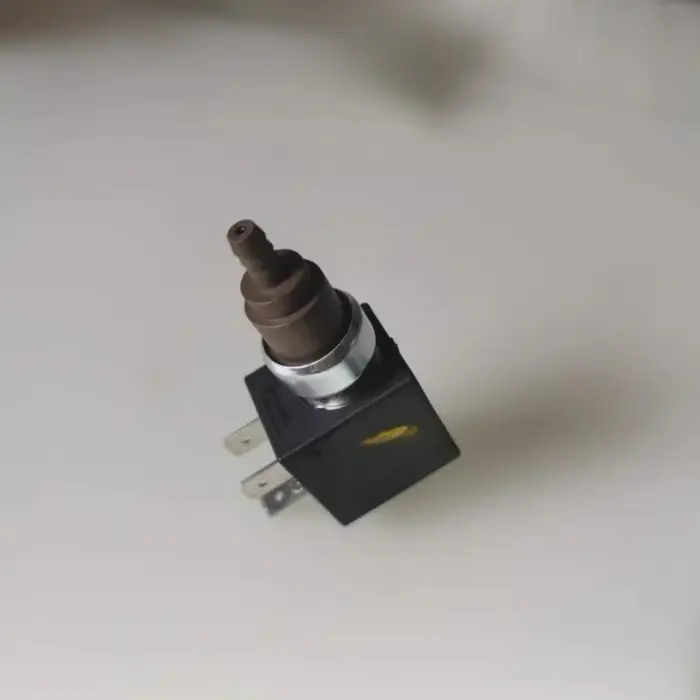 Nouvelle pompe électromagnétique pour nettoyeur vapeur Karcher, pompe auto-amorçante de remplacement SC2 SC3