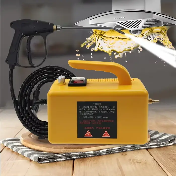 Nettoyeur à vapeur électrique domestique