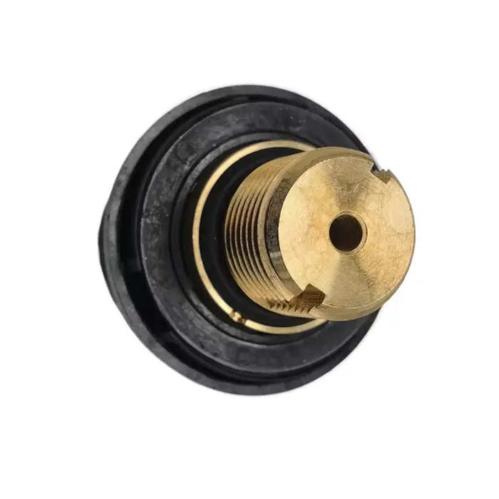 Bouchon de réservoir pour nettoyeur vapeur Karcher SC1 SC2 CTK10 SC2D