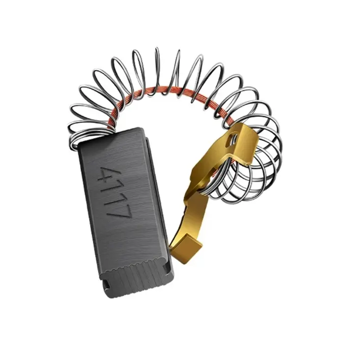 Balais carbone balais moteur remplacement aspirateur Machine soufflage pour animaux compagnie balais carbone