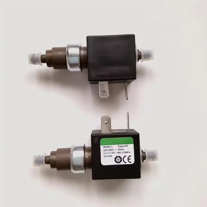 N09R-pompe électromagnétique pour vadrouille à vapeur pompe à eau de fer à vapeur 220V 19W CEME E15