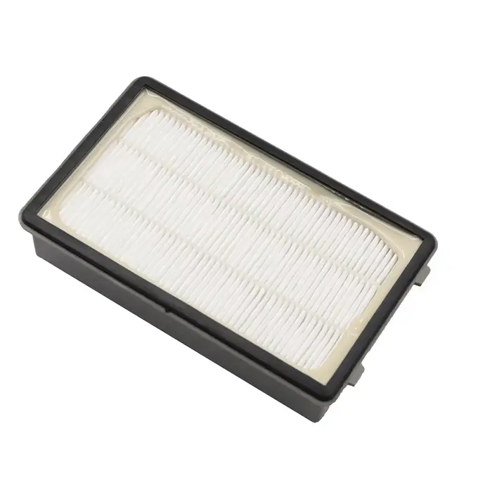 Filtre HEPA pour aspirateur Rowenta Powerline Extreme RH8037WA RH8121WB RH8155WA RH8165WA RH8021WB