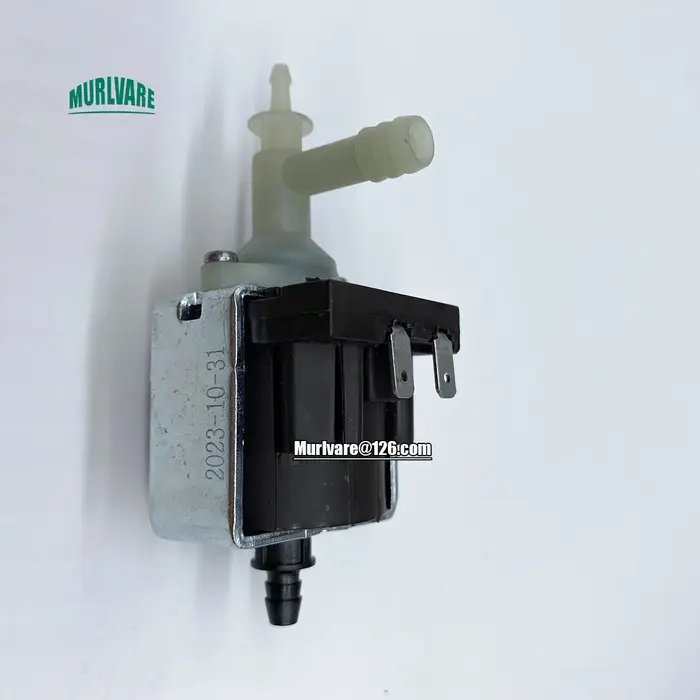 Pompe à eau solénoïde éventuelles M 20W 220V