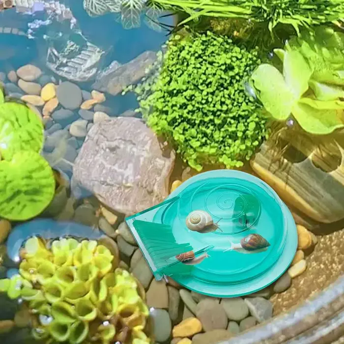 Piège à escargots Transparent pour Aquarium