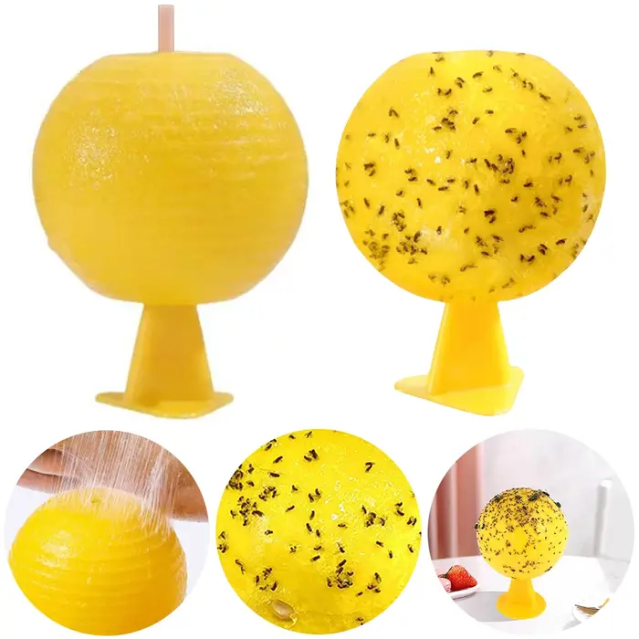 Pièges à mouches des fruits