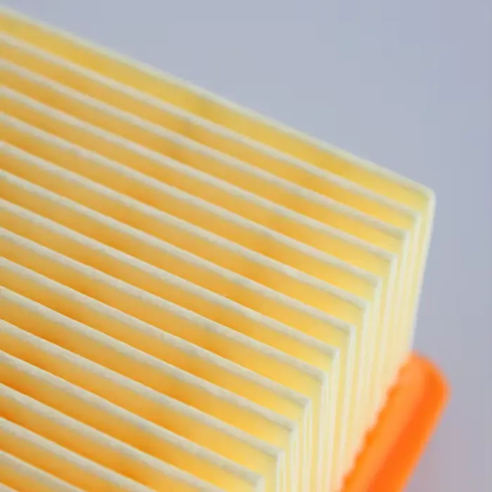 Filtre HEPA pour aspirateur sec et humide Karcher MV4 MV5 MV6 WD4 WD5 WD6 P PREMIUM