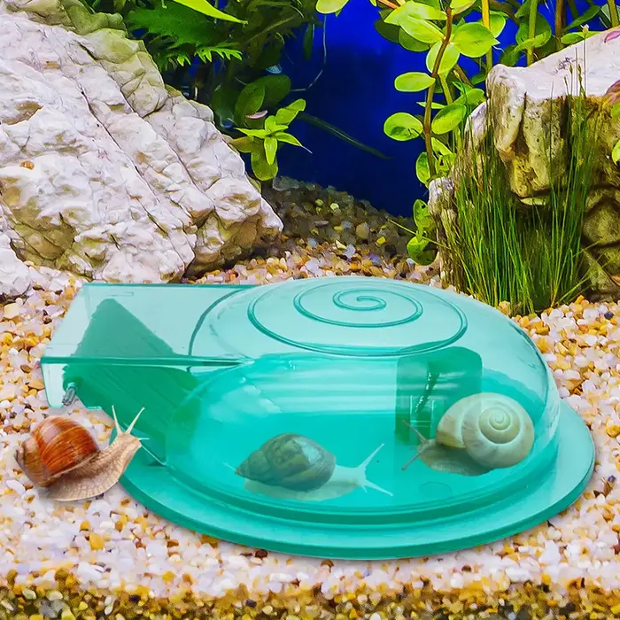 Boîte de capture d'escargot d'aquarium