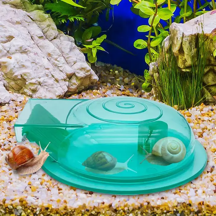 Dissolvant d'escargot d'aquarium