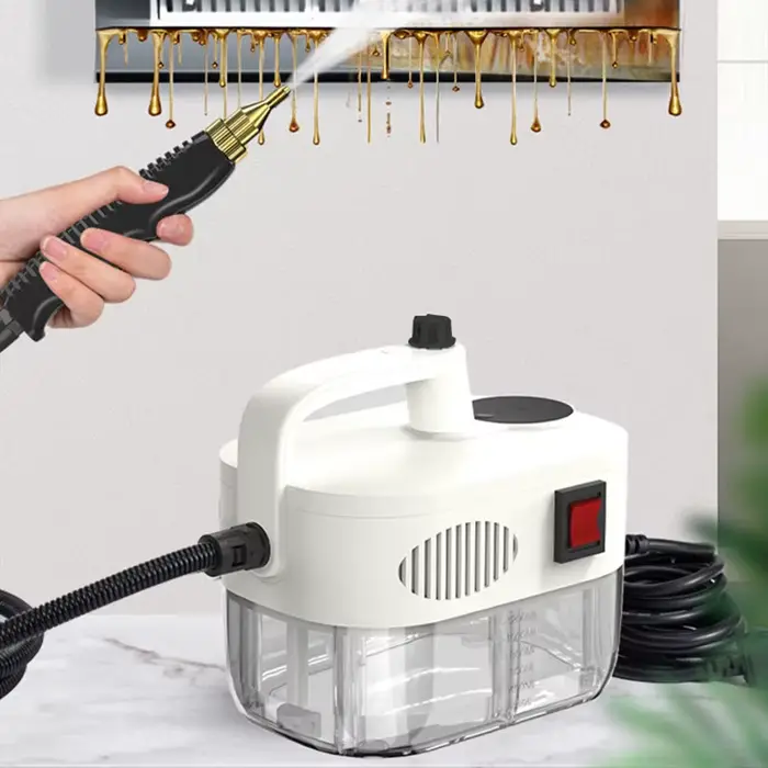 Nettoyeur à vapeur domestique à main