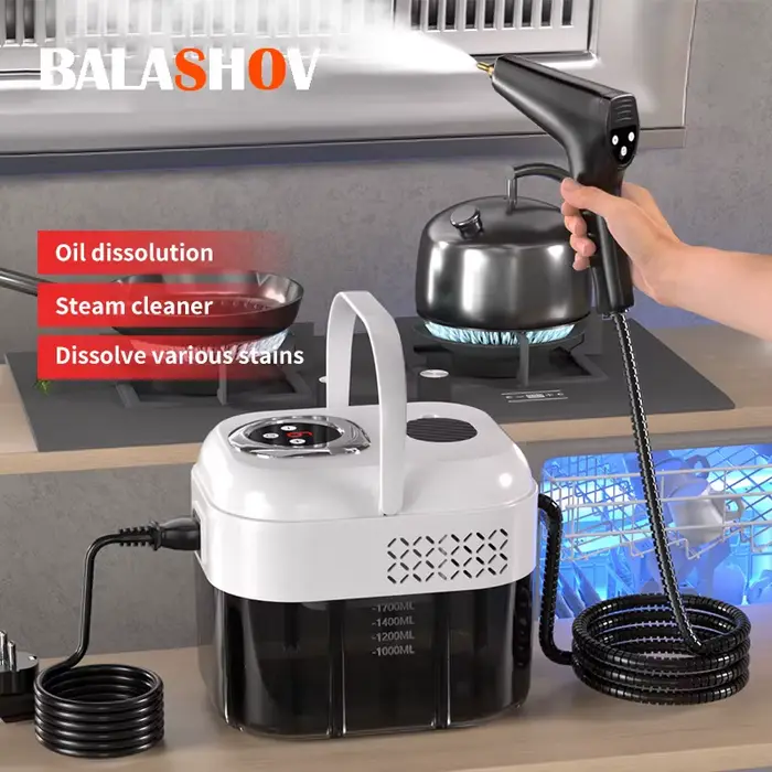 Nettoyeurs à vapeur portables haute température et pression