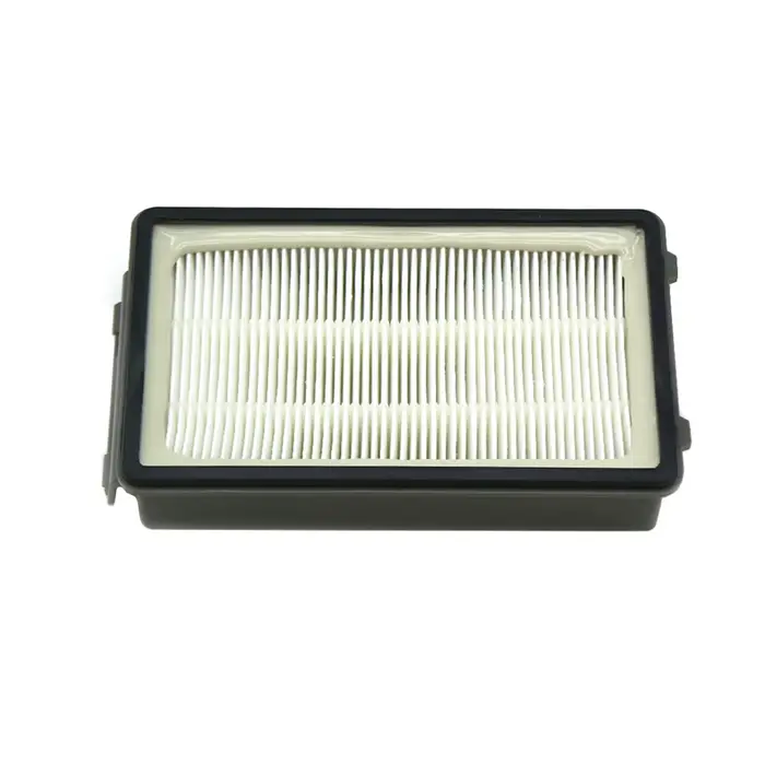 Filtre HEPA pour Rowenta Compact Power