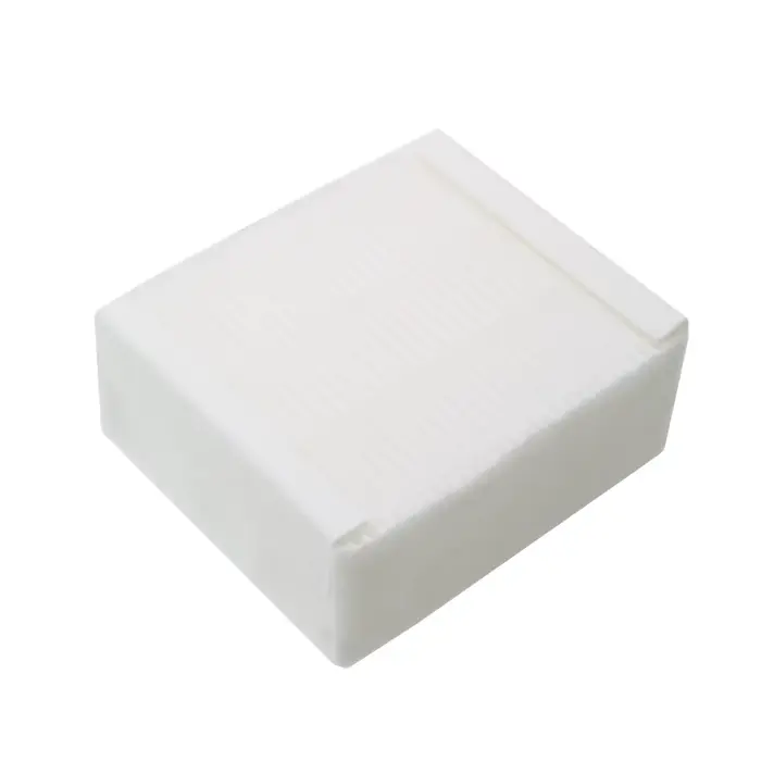 Filtre en mousse Filtre HEPA pour Thomas 787241