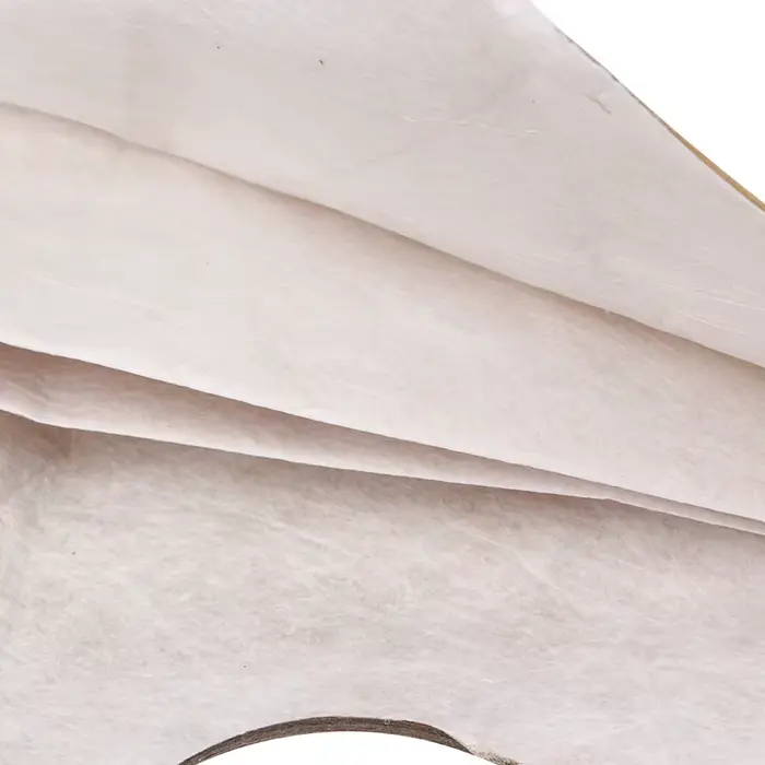 Sacs à poussière BAG261 pour aspirateur Panasonic série C-20E C20E MC-E, 5 pièces, sacs sous vide po