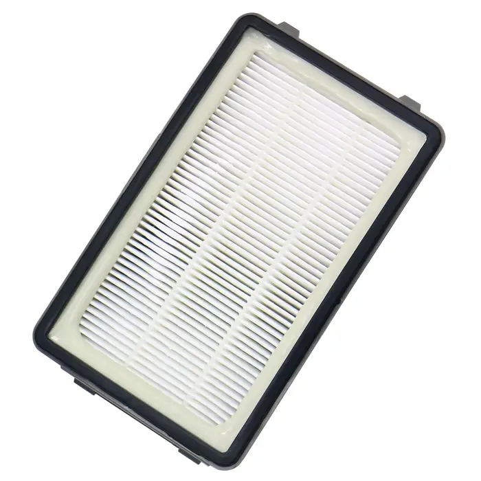 Filtre HEPA ZR005901 pour aspirateur Rowenta RO3715 RO3724 RO3753EA RO3759 RO3798 RO3798EA RO3799 RO