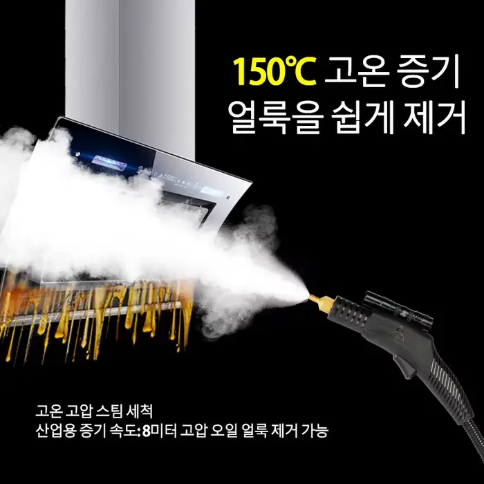 Nettoyeur à vapeur haute température 110/220V 3000W