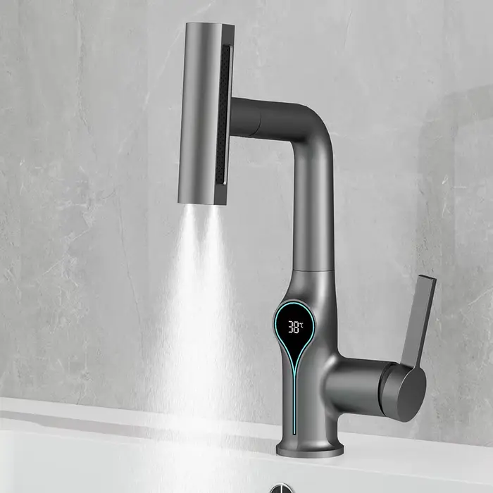 Pulvérisateur d'eau chaude et froide avec affichage numérique de la température