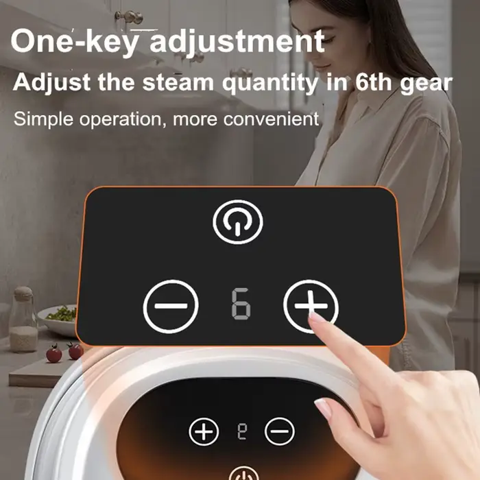 Nettoyeur Vapeur Intelligent Haute Température de 1