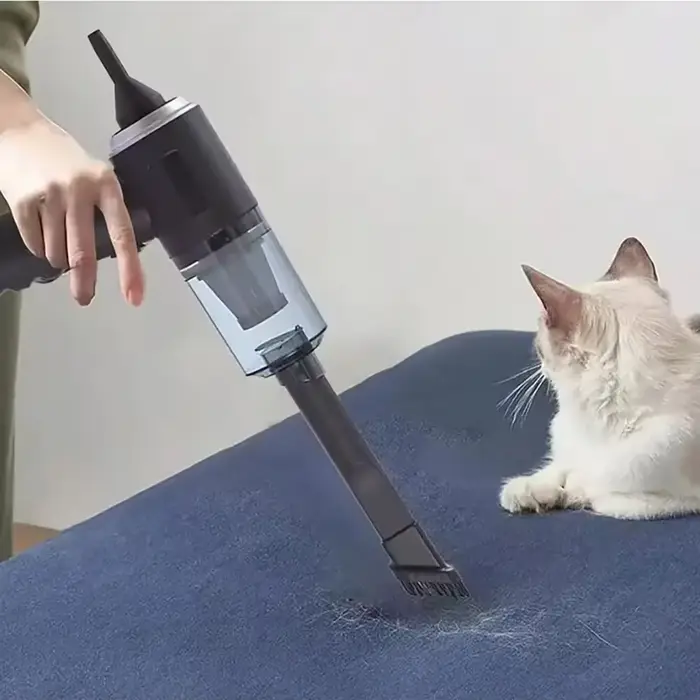 Aspirateur de voiture Portable petit