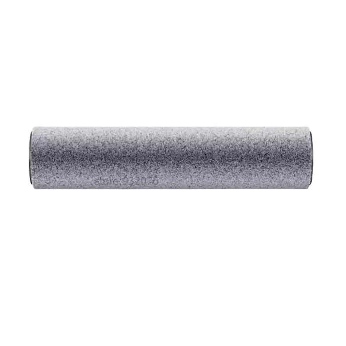 Roborock – brosse à rouleau F25