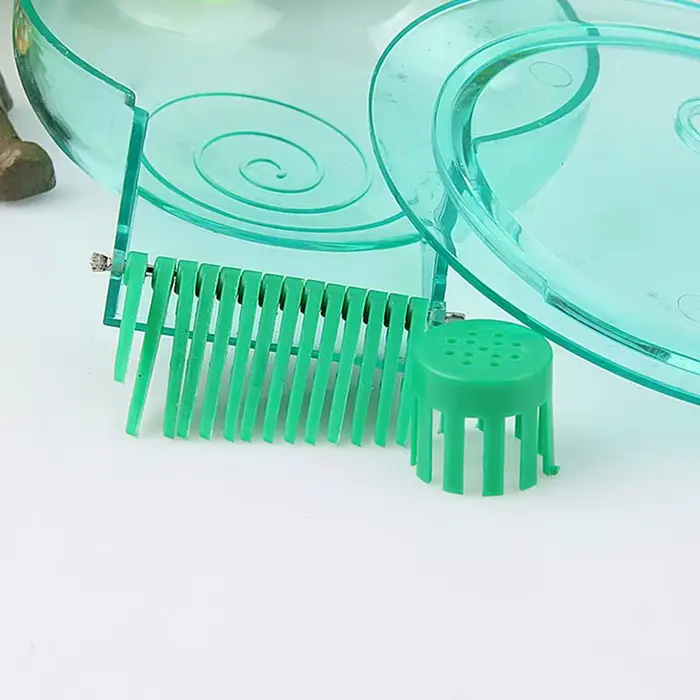 Attrape-escargot Transparent