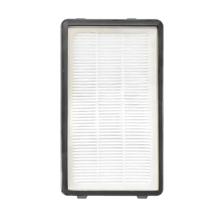 Filtre HEPA compatible avec Rowenta Compact Power XXL RO4811EA RO4823EA RO4825EA RO4853EA RO4855EA RO4859EA RO4871EA RO4881EA