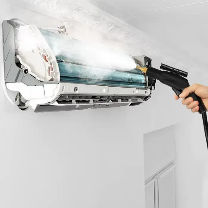 Nettoyeur à vapeur haute température 110/220V 3000W